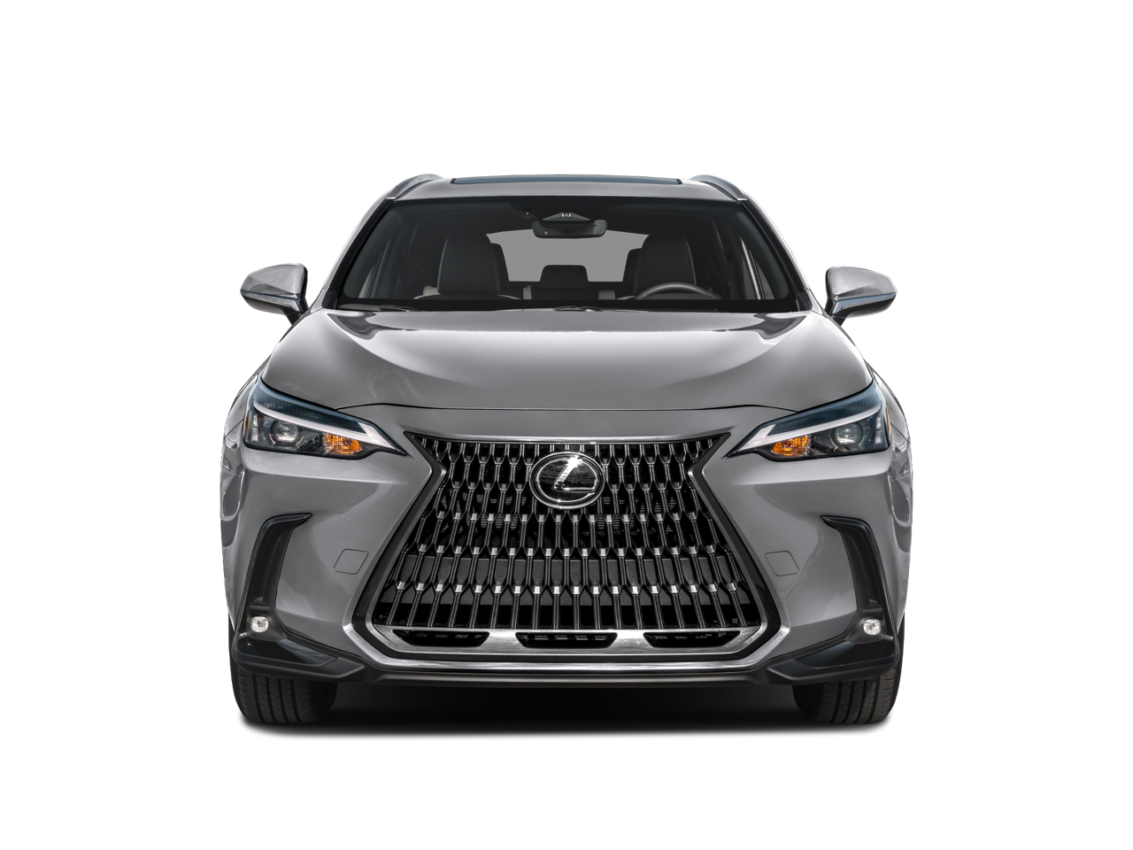 2025 Lexus NX 250 NX 250
