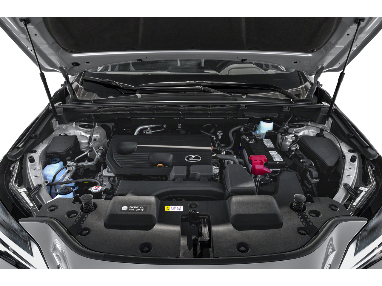 2025 Lexus NX 250 NX 250