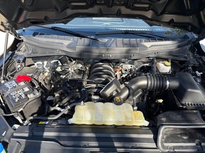 2024 Ford F-150 STX®