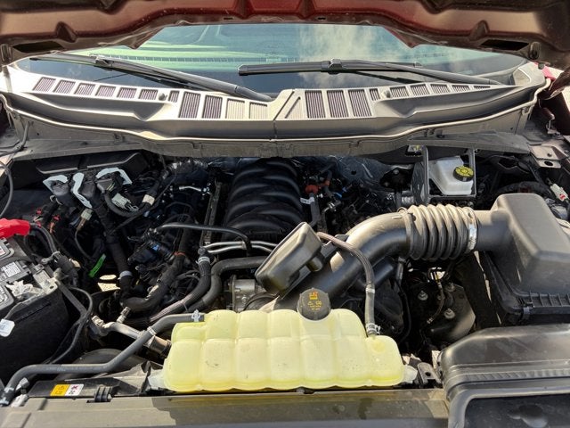 2025 Ford F-150 STX®