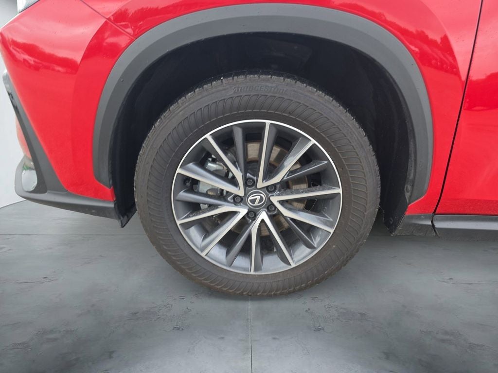 2025 Lexus NX 250 Base