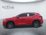 2025 Lexus NX 250 Base